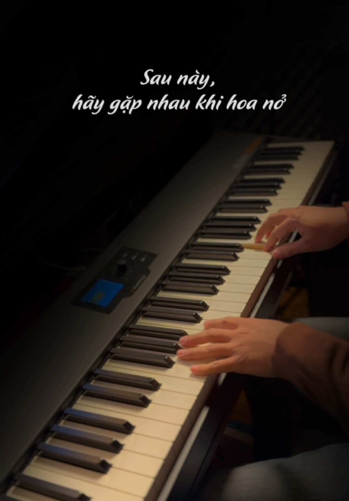 Chào tháng 10, mình gặp nhau khi mùa hoa nở nhé 🥰 #gapnhaukhimuahoanonhe #fyp #trending #trinhatpiano #xuhuong 