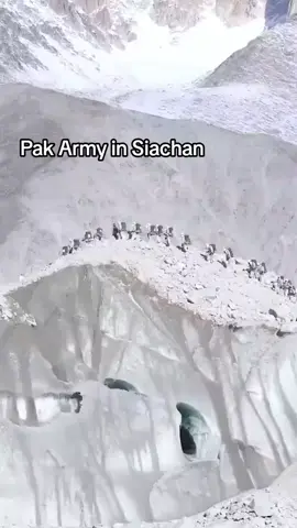 #Pak Army in siachan 
