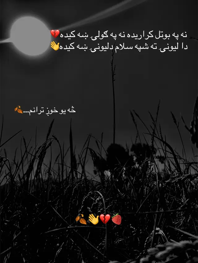 نه په بوتل کراریده نه په ګولۍ ښه کیده💔 دا لیونۍ ته شپه سلام دلیونۍ ښه کیده👋 #foryou #foryoupage #virelvideo #trending #100millionviews @hearttspeace7890 
