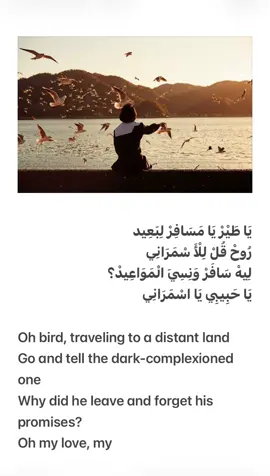 تُعد هذه الأغنية الطربية الشجية واحدة من أروع وأجمل شاهقات الأرشيف الغنائي العربي للفنانة الكبيرة نجاة الصغيرة، والتي صاغ كلماتها وألحانها كبار أساطين الفن بحس عاطفي مليء بالشوق والجمال الفائق. يتردد في مقطعها الشهير والمؤثر: 