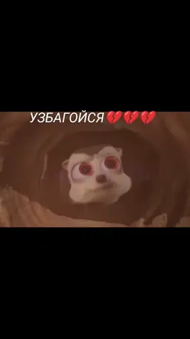 Узбагойся💔💔💔💔💔💔💔