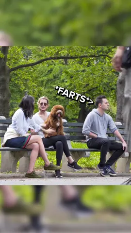 #fartprank #farting #fun #fartingprank #farts 