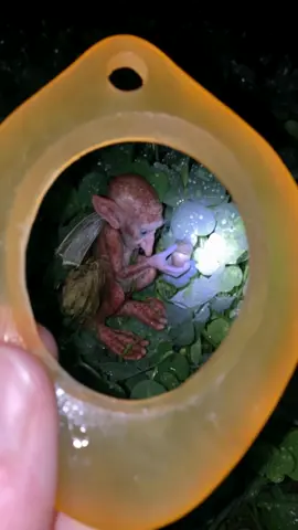 I think I scared them #foundfootage #fae #fairy 