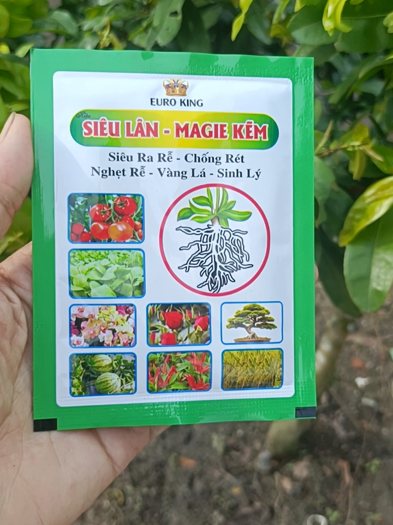 siêu lân MAGiE KẼM ra rễ cực mạnh cho bà con mình đây #sieulanmagiekem #khoere #vuonnha #nongnghiep #xuhuongtiktok 
