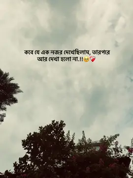 কবে যে এক নজর দেখেছিলাম, তারপরে আর দেখা হলো না.!!🥹❤️‍🩹#fypシ #reality #relatable #sacrifice #banglaquotes 