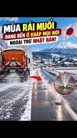 Cả thế giới rải muối chống băng, riêng Nhật Bản lại nói KHÔNG #NhatBan #Japan #KhamPha #KienThuc #SuThatThuVi 