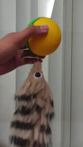 ¿Has visto una pelota tan divertida? #kidssafety #viral #fyp #kidstiktok #kidstoys 