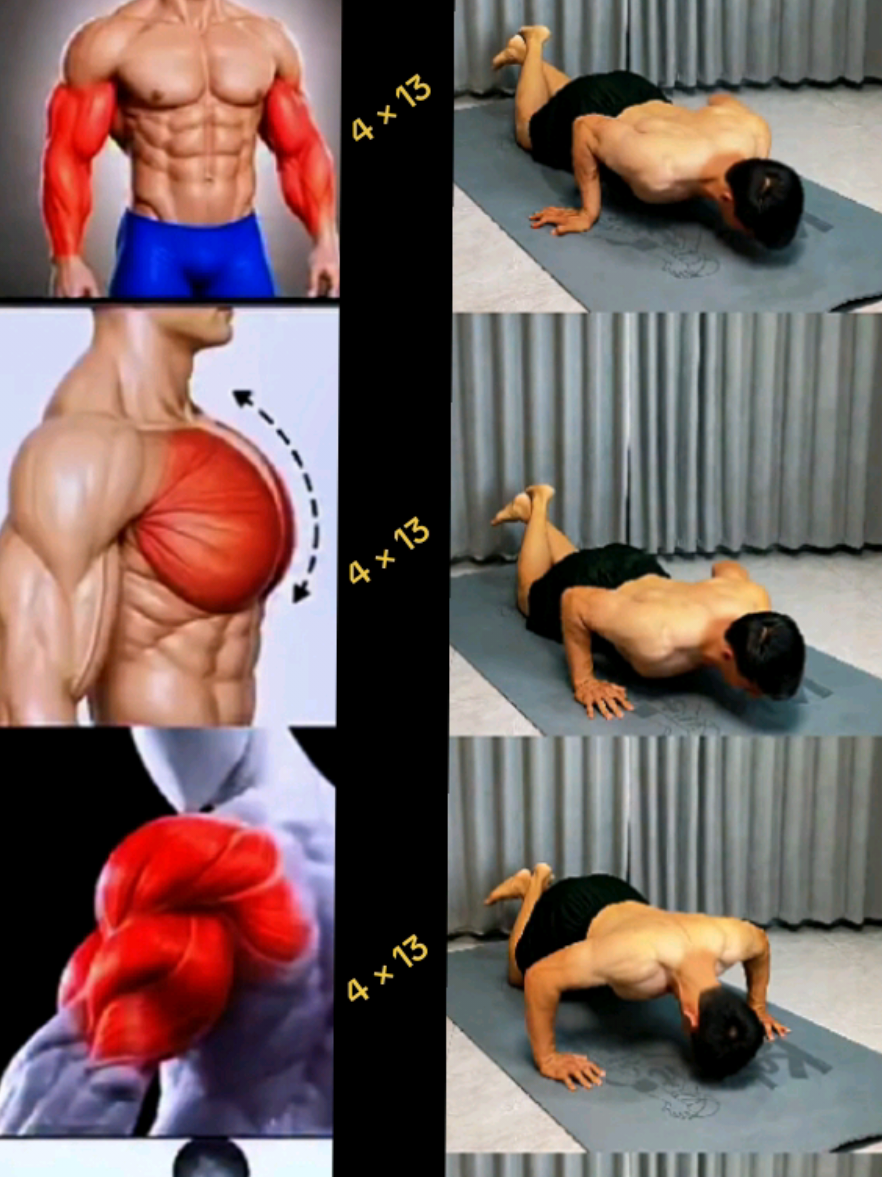 💯💪Four Effective Push-Up Exercises to Work Your Entire Body #Fitness #chest #muscles #dumbbells #gymmotivation 