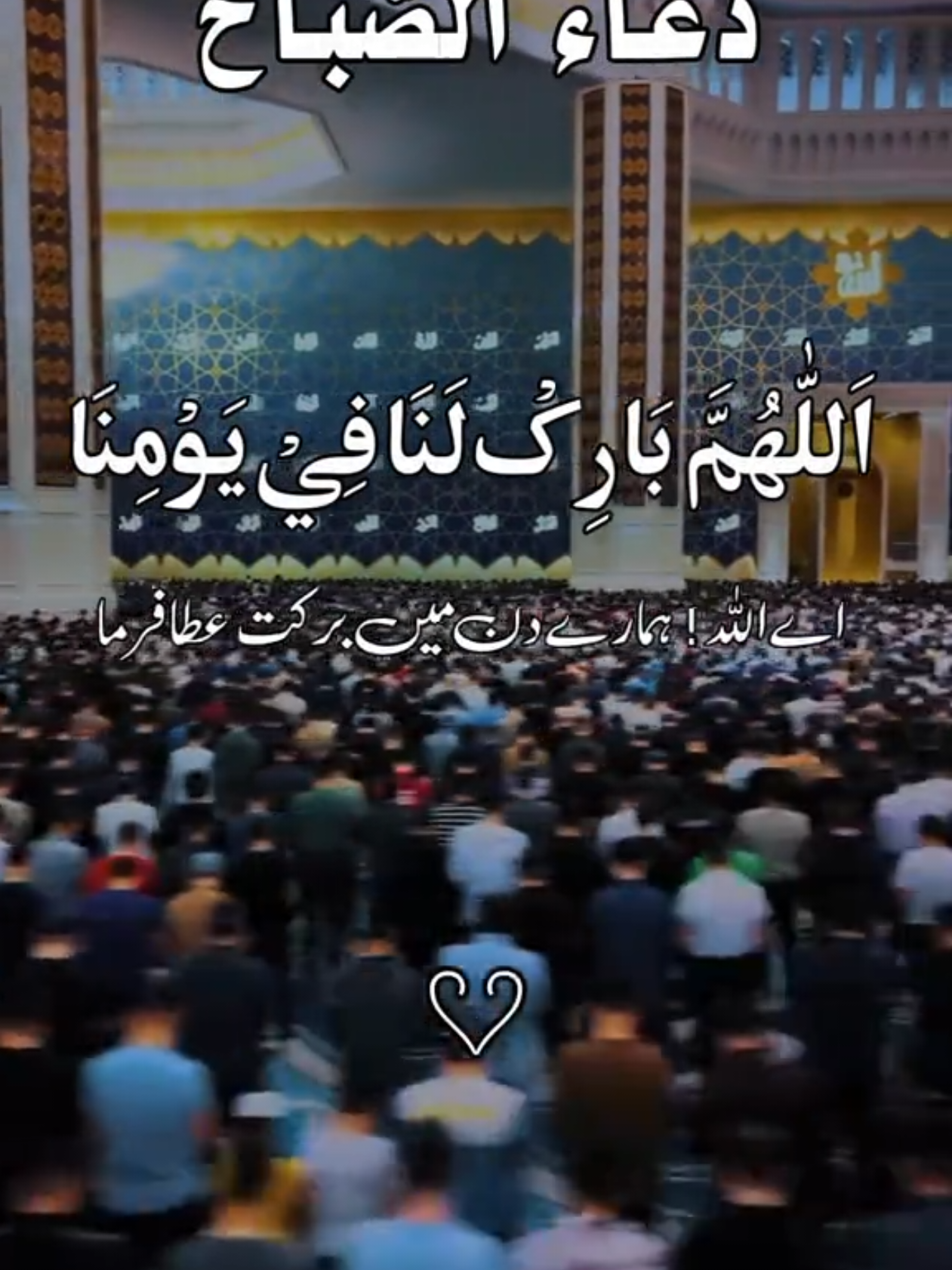 إن الله وملائكته يصلون على النبي ياأيها الذين آمنوا صلوا عليه وسلموا  تسليما #اللهم_صلي_على_نبينا_محمد #صلوا_على_رسول_الله #ان_الله_وملائكته_يصلون_على_النبي 