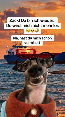 Zack, da bin ich wieder! 😂🦌👓 Und diesmal wirst du mich so schnell nicht mehr los 😎🤪 Na, wer hat mich schon vermisst? 👀❤️ #BinWiederDa #Humor #Lustig #Comedy #meme   