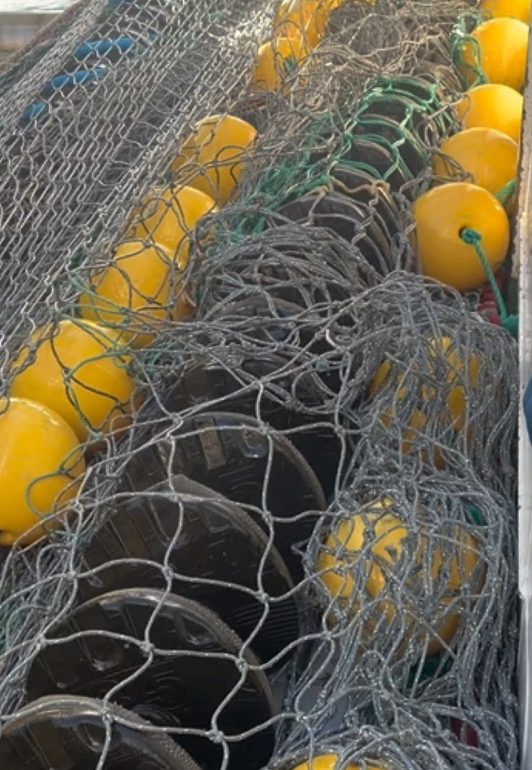 Ocean Way PD465 heaving it’s gear aboard at the pair trawl with the Vigilant PD365 🐟 #ocean way #fishing #fishingtiktoks #net #fyp
