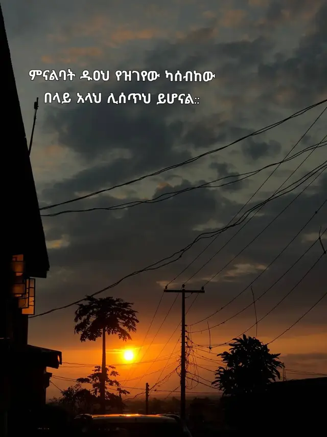 ኢንሻ አላህ 𝐘𝐨𝐮 𝐦𝐞𝐚𝐧 “𝐚 𝐝𝐢𝐠𝐧𝐢𝐟𝐢𝐞𝐝 𝐠𝐮𝐲 𝐨𝐮𝐭𝐟𝐢𝐭” 𝐭𝐨 𝐡𝐚𝐧𝐝𝐥𝐞 𝐚 𝐛𝐚𝐝 𝐝𝐚𝐲, 𝐫𝐢𝐠𝐡𝐭?  𝐒𝐨 𝐲𝐨𝐮 𝐬𝐭𝐢𝐥𝐥 𝐥𝐨𝐨𝐤 𝐟𝐢𝐫𝐦 + 𝐜𝐨𝐧𝐟𝐢𝐝𝐞𝐧𝐭 𝐞𝐯𝐞𝐧 𝐰𝐡𝐞𝐧 𝐲𝐨𝐮’𝐫𝐞 𝐢𝐧 𝐚 𝐛𝐚𝐝 𝐦𝐨𝐨𝐝, 𝐭𝐡𝐞 𝐤𝐞𝐲 𝐢𝐬: 𝐬𝐢𝐦𝐩𝐥𝐞, 𝐧𝐞𝐚𝐭, 𝐚𝐧𝐝 𝐧𝐞𝐮𝐭𝐫𝐚𝐥 𝐜𝐨𝐥𝐨𝐫𝐬. 𝐀 𝐝𝐢𝐠𝐧𝐢𝐟𝐢𝐞𝐝 𝐨𝐮𝐭𝐟𝐢𝐭 = 𝐩𝐞𝐨𝐩𝐥𝐞 𝐚𝐮𝐭𝐨𝐦𝐚𝐭𝐢𝐜𝐚𝐥𝐥𝐲 𝐫𝐞𝐬𝐩𝐞𝐜𝐭 𝐲𝐨𝐮. ### 3 𝐅𝐨𝐫𝐦𝐮𝐥𝐚𝐬 𝐟𝐨𝐫 𝐚 𝐃𝐢𝐠𝐧𝐢𝐟𝐢𝐞𝐝 𝐆𝐮𝐲 𝐎𝐮𝐭𝐟𝐢𝐭 𝐭𝐨 𝐁𝐞𝐚𝐭 𝐁𝐚𝐝 𝐃𝐚𝐲𝐬 1. 𝐒𝐦𝐚𝐫𝐭 𝐂𝐚𝐬𝐮𝐚𝐥 𝐂𝐄𝐎 𝐌𝐨𝐝𝐞 𝐅𝐨𝐫 𝐜𝐨𝐥𝐥𝐞𝐠𝐞, 𝐰𝐨𝐫𝐤, 𝐨𝐫 𝐡𝐚𝐧𝐠𝐢𝐧𝐠 𝐨𝐮𝐭 𝐛𝐮𝐭 𝐬𝐭𝐢𝐥𝐥 𝐫𝐞𝐬𝐩𝐞𝐜𝐭𝐞𝐝 - 𝐓𝐨𝐩: 𝐏𝐥𝐚𝐢𝐧 𝐎𝐱𝐟𝐨𝐫𝐝 𝐬𝐡𝐢𝐫𝐭 𝐢𝐧 𝐧𝐚𝐯𝐲, 𝐛𝐥𝐚𝐜𝐤, 𝐨𝐫 𝐰𝐡𝐢𝐭𝐞. 𝐑𝐨𝐥𝐥 𝐮𝐩 𝐭𝐡𝐞 𝐬𝐥𝐞𝐞𝐯𝐞𝐬 𝐚 𝐛𝐢𝐭. - 𝐁𝐨𝐭𝐭𝐨𝐦: 𝐂𝐡𝐢𝐧𝐨 𝐩𝐚𝐧𝐭𝐬/𝐚𝐧𝐤𝐥𝐞 𝐩𝐚𝐧𝐭𝐬 𝐢𝐧 𝐤𝐡𝐚𝐤𝐢, 𝐜𝐡𝐚𝐫𝐜𝐨𝐚𝐥, 𝐨𝐫 𝐛𝐥𝐚𝐜𝐤. 𝐍𝐨 𝐫𝐢𝐩𝐬. - 𝐒𝐡𝐨𝐞𝐬: 𝐋𝐨𝐚𝐟𝐞𝐫𝐬, 𝐂𝐡𝐞𝐥𝐬𝐞𝐚 𝐛𝐨𝐨𝐭𝐬, 𝐨𝐫 𝐜𝐥𝐞𝐚𝐧 𝐰𝐡𝐢𝐭𝐞 𝐬𝐧𝐞𝐚𝐤𝐞𝐫𝐬. - 𝐄𝐱𝐭𝐫𝐚: 𝐋𝐞𝐚𝐭𝐡𝐞𝐫/𝐬𝐭𝐞𝐞𝐥 𝐰𝐚𝐭𝐜𝐡 + 𝐬𝐮𝐧𝐠𝐥𝐚𝐬𝐬𝐞𝐬. 𝐕𝐢𝐛𝐞𝐬: 𝐂𝐚𝐥𝐦 𝐛𝐮𝐭 𝐝𝐨𝐦𝐢𝐧𝐚𝐧𝐭. 𝐁𝐚𝐝 𝐝𝐚𝐲 𝐬𝐭𝐞𝐩𝐬 𝐚𝐬𝐢𝐝𝐞. 2. 𝐌𝐨𝐧𝐨𝐜𝐡𝐫𝐨𝐦𝐞 𝐌𝐢𝐧𝐢𝐦𝐚𝐥𝐢𝐬𝐭 𝐓𝐡𝐞 𝐞𝐚𝐬𝐢𝐞𝐬𝐭 𝐛𝐮𝐭 𝐰𝐢𝐭𝐡 𝐚 𝐬𝐭𝐫𝐨𝐧𝐠 𝐞𝐟𝐟𝐞𝐜𝐭 - 𝐓𝐨𝐩: 𝐅𝐢𝐭𝐭𝐞𝐝 𝐛𝐥𝐚𝐜𝐤 𝐜𝐫𝐞𝐰 𝐧𝐞𝐜𝐤/𝐡𝐞𝐧𝐥𝐞𝐲 𝐓-𝐬𝐡𝐢𝐫𝐭, 𝐧𝐨𝐭 𝐨𝐯𝐞𝐫𝐬𝐢𝐳𝐞𝐝 - 𝐁𝐨𝐭𝐭𝐨𝐦: 𝐁𝐥𝐚𝐜𝐤 𝐝𝐫𝐞𝐬𝐬 𝐩𝐚𝐧𝐭𝐬 𝐨𝐫 𝐬𝐥𝐢𝐦-𝐟𝐢𝐭 𝐛𝐥𝐚𝐜𝐤 𝐰𝐚𝐬𝐡𝐞𝐝 𝐣𝐞𝐚𝐧𝐬 - 𝐎𝐮𝐭𝐞𝐫: 𝐎𝐯𝐞𝐫𝐬𝐡𝐢𝐫𝐭 𝐨𝐫 𝐜𝐡𝐨𝐫𝐞 𝐣𝐚𝐜𝐤𝐞𝐭 𝐢𝐧 𝐚 𝐦𝐚𝐭𝐜𝐡𝐢𝐧𝐠 𝐜𝐨𝐥𝐨𝐫 - 𝐒𝐡𝐨𝐞𝐬: 𝐁𝐨𝐨𝐭𝐬 𝐨𝐫 𝐟𝐮𝐥𝐥 𝐛𝐥𝐚𝐜𝐤 𝐬𝐧𝐞𝐚𝐤𝐞𝐫𝐬 𝐕𝐢𝐛𝐞𝐬: 𝐌𝐲𝐬𝐭𝐞𝐫𝐢𝐨𝐮𝐬, 𝐟𝐨𝐜𝐮𝐬𝐞𝐝, 𝐧𝐨 𝐝𝐫𝐚𝐦𝐚. 3. 𝐎𝐥𝐝 𝐌𝐨𝐧𝐞𝐲 𝐂𝐥𝐞𝐚𝐧 𝐋𝐨𝐨𝐤 𝐋𝐨𝐨𝐤𝐬 𝐞𝐱𝐩𝐞𝐧𝐬𝐢𝐯𝐞 𝐰𝐢𝐭𝐡𝐨𝐮𝐭 𝐛𝐢𝐠 𝐥𝐨𝐠𝐨𝐬 - 𝐓𝐨𝐩: 𝐍𝐞𝐚𝐭 𝐩𝐨𝐥𝐨 𝐬𝐡𝐢𝐫𝐭 𝐨𝐫 𝐥𝐢𝐧𝐞𝐧 𝐬𝐡𝐢𝐫𝐭 𝐢𝐧 𝐞𝐚𝐫𝐭𝐡 𝐭𝐨𝐧𝐞𝐬: 𝐨𝐥𝐢𝐯𝐞, 𝐜𝐫𝐞𝐚𝐦, 𝐦𝐨𝐜𝐡𝐚 - 𝐁𝐨𝐭𝐭𝐨𝐦: 𝐒𝐭𝐫𝐚𝐢𝐠𝐡𝐭-𝐜𝐮𝐭 𝐝𝐫𝐞𝐬𝐬 𝐩𝐚𝐧𝐭𝐬 𝐢𝐧 𝐛𝐞𝐢𝐠𝐞/𝐨𝐟𝐟-𝐰𝐡𝐢𝐭𝐞 - 𝐒𝐡𝐨𝐞𝐬: 𝐏𝐫𝐞𝐦𝐢𝐮𝐦 𝐰𝐡𝐢𝐭𝐞 𝐬𝐧𝐞𝐚𝐤𝐞𝐫𝐬 𝐨𝐫 𝐩𝐞𝐧𝐧𝐲 𝐥𝐨𝐚𝐟𝐞𝐫𝐬 - 𝐄𝐱𝐭𝐫𝐚: 𝐋𝐞𝐚𝐭𝐡𝐞𝐫 𝐛𝐞𝐥𝐭, 𝐬𝐥𝐞𝐞𝐤𝐥𝐲 𝐬𝐭𝐲𝐥𝐞𝐝 𝐡𝐚𝐢𝐫 𝐕𝐢𝐛𝐞𝐬: 𝐌𝐚𝐭𝐮𝐫𝐞, 𝐜𝐥𝐚𝐬𝐬𝐲, 𝐛𝐚𝐝 𝐝𝐚𝐲𝐬 𝐝𝐨𝐧’𝐭 𝐝𝐚𝐫𝐞 𝐭𝐨 𝐛𝐨𝐭𝐡𝐞𝐫 𝐲𝐨𝐮. --- ### 𝐓𝐡𝐞 𝐊𝐞𝐲 𝐭𝐨 𝐁𝐞𝐢𝐧𝐠 𝐃𝐢𝐠𝐧𝐢𝐟𝐢𝐞𝐝 𝐒𝐨 𝐁𝐚𝐝 𝐃𝐚𝐲𝐬 𝐋𝐨𝐬𝐞: 1. 𝐅𝐢𝐭 𝐢𝐬 𝐤𝐢𝐧𝐠: 𝐂𝐥𝐨𝐭𝐡𝐞𝐬 𝐭𝐡𝐚𝐭 𝐟𝐢𝐭 𝐲𝐨𝐮𝐫 𝐛𝐨𝐝𝐲 > 𝐞𝐱𝐩𝐞𝐧𝐬𝐢𝐯𝐞 𝐜𝐥𝐨𝐭𝐡𝐞𝐬 𝐭𝐡𝐚𝐭 𝐚𝐫𝐞 𝐭𝐨𝐨 𝐛𝐢𝐠 2. 𝐃𝐚𝐫𝐤 & 𝐧𝐞𝐮𝐭𝐫𝐚𝐥 𝐜𝐨𝐥𝐨𝐫𝐬: 𝐁𝐥𝐚𝐜𝐤, 𝐧𝐚𝐯𝐲, 𝐠𝐫𝐚𝐲, 𝐨𝐥𝐢𝐯𝐞 = 𝐢𝐧𝐬𝐭𝐚𝐧𝐭𝐥𝐲 𝐥𝐨𝐨𝐤 𝐟𝐢𝐫𝐦 3. 𝐍𝐞𝐚𝐭 𝐟𝐫𝐨𝐦 𝐡𝐞𝐚𝐝 𝐭𝐨 𝐭𝐨𝐞: 𝐇𝐚𝐢𝐫, 𝐧𝐚𝐢𝐥𝐬, 𝐬𝐡𝐨𝐞𝐬 𝐜𝐥𝐞𝐚𝐧. 𝐌𝐞𝐬𝐬𝐲 = 𝐝𝐢𝐠𝐧𝐢𝐭𝐲 𝐝𝐫𝐨𝐩𝐬 4. 𝐃𝐨𝐧’𝐭 𝐨𝐯𝐞𝐫𝐝𝐨 𝐚𝐜𝐜𝐞𝐬𝐬𝐨𝐫𝐢𝐞𝐬:** 1 𝐰𝐚𝐭𝐜𝐡 𝐢𝐬 𝐞𝐧𝐨𝐮𝐠𝐡 ### *𝐇𝐚𝐬𝐡𝐭𝐚𝐠 # * 𝐈𝐟 𝐲𝐨𝐮 𝐰𝐚𝐧𝐭 𝐭𝐨 𝐩𝐨𝐬𝐭 𝐎𝐎𝐓𝐃 𝐨𝐧 𝐚 𝐛𝐚𝐝 𝐝𝐚𝐲 𝐛𝐮𝐭 𝐬𝐭𝐢𝐥𝐥 𝐥𝐨𝐨𝐤 𝐝𝐢𝐠𝐧𝐢𝐟𝐢𝐞𝐝:#𝐛𝐚𝐛𝐚𝐝𝐝𝐚𝐲𝐞𝐝𝐢𝐭𝐢𝐨𝐧 #𝐛𝐞𝐫𝐰𝐢𝐛𝐚𝐰𝐚𝐝𝐮𝐥𝐮𝐛𝐚𝐝𝐝𝐚𝐲𝐤𝐞𝐦𝐮𝐝𝐢𝐚𝐧 #𝐨𝐮𝐭𝐟𝐢𝐭𝐭𝐞𝐠𝐚𝐬 #𝐜𝐥𝐞𝐚𝐧𝐥𝐨𝐨𝐤 #𝐦𝐞𝐧𝐢𝐧𝐛𝐥𝐚𝐜𝐤 #fyp #foryou