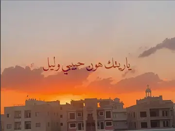 ياريتك مش رايح…ياريتك تبقى  #videography #fayrouz #فيروز #viral #videoviral 