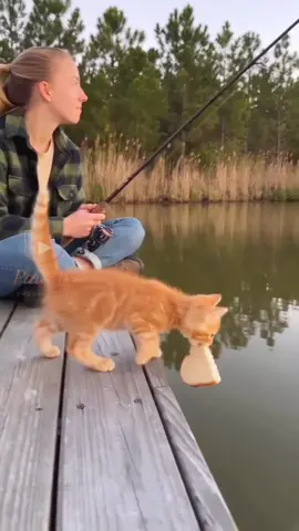 Bro Is a Professional Fisherman! 🐱🎣so funny🤣🤣🤣🤪🤪🤪😜😜😜……#catfishing #funnycat #fishingtip #catsoftiktok #fishingcat 