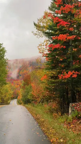 Just a random road in Vermont btw🥺❤️ #vermont #fallaesthetic #fallfoliage #fallvibes #fallroadtrip 
