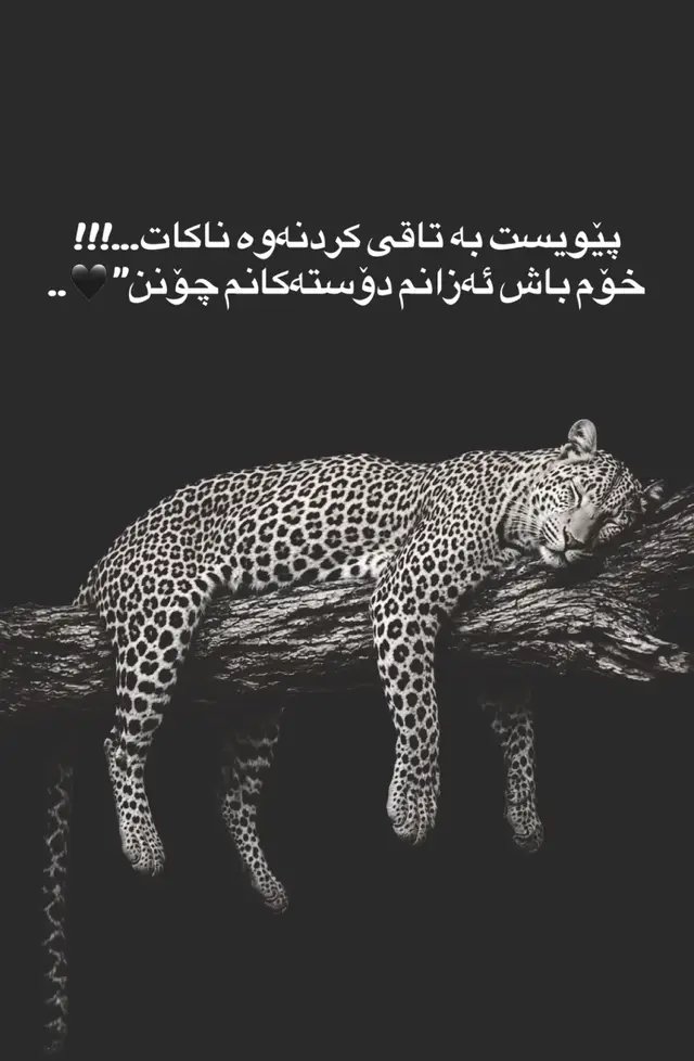 Firaqi . . . #وتەکانی_فیراقی  #وتەی_بەقەوەت  #وتەی_جوان  #وتەی_راقی  #وتە 