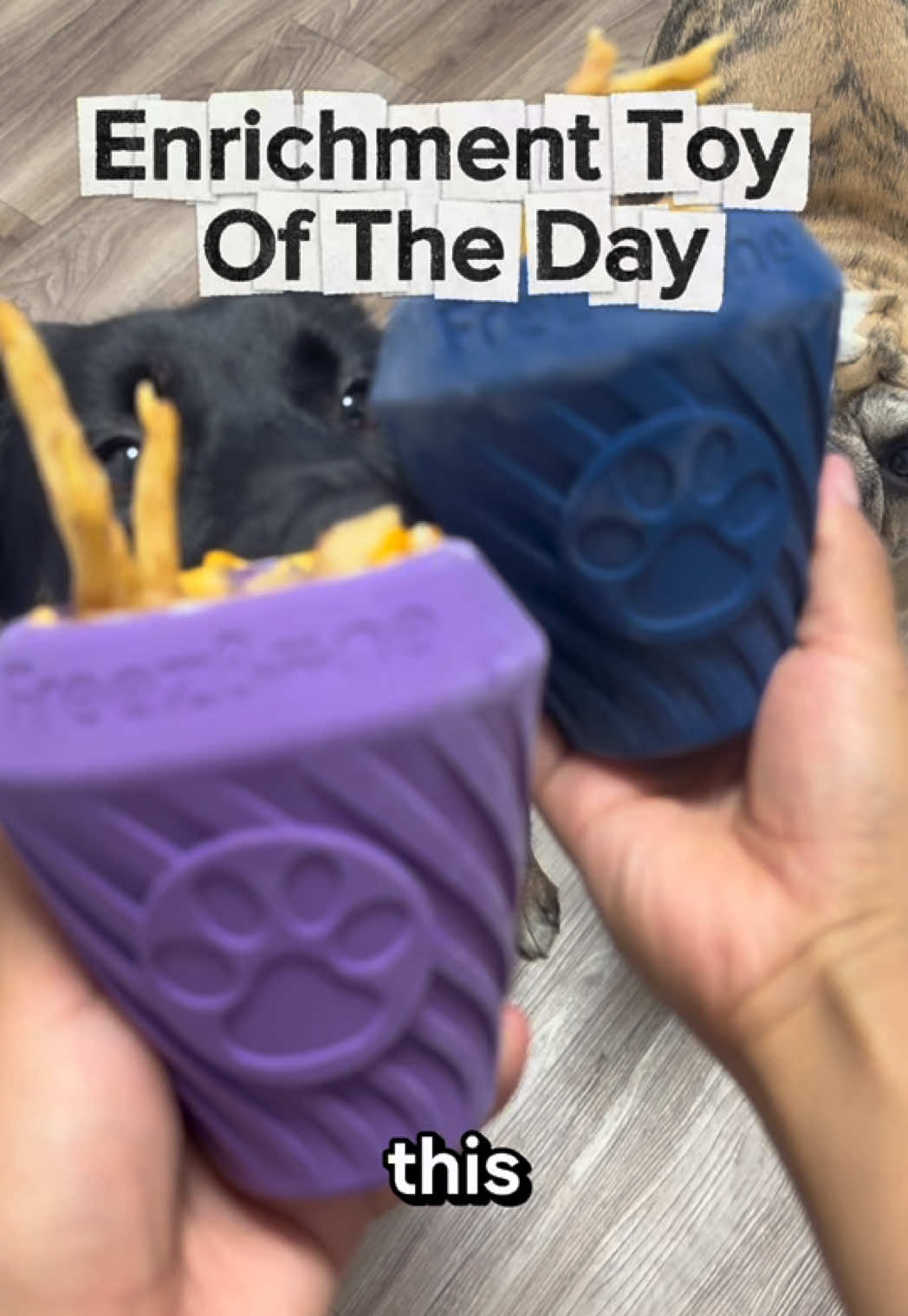 Enrichment toy of the day 🐾❄️ This Freezbone Cone is one of our favorites! You can fill it with their favorite treats, freeze it, and let them work for their snack 🤤🐶 #dogenrichment #enrichmentfordogs #enrichmentideas #fallshopping #petfinds