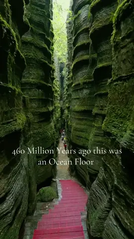 What looks like another planet was once an ancient ocean floor. 🌊🪨 Suobuya Stone Forest in China is 460 million years old! #tiktokgorisingstarl2 #ChinaTravel #HiddenGem #NatureTok #TravelTikTok 