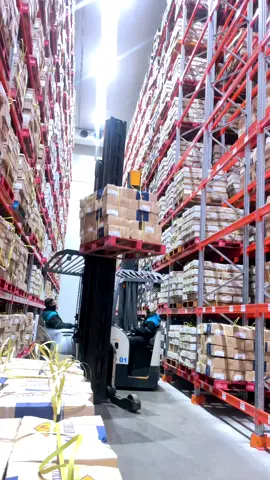 Izin masih belajar #operator #forklift #warehouse #crown #kulipabrik 