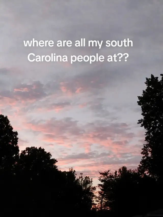 #greenvillesc #south #fyp #peacefulviews 