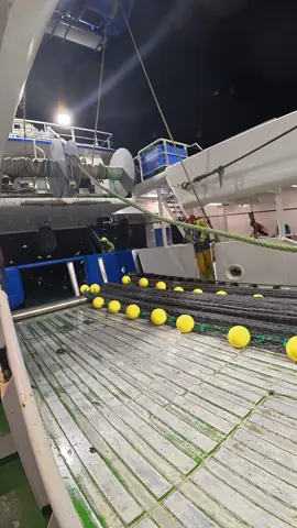 Last haul of the trip 🐟 time lapse of heaving up the net, lifting aboard the bag of fish and emptying the cod end for gutting and boxing #ocean way #fishing boat #bag #cod end #fyp