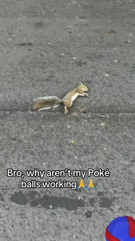 Niantic fix your game😭 ##fyp##funny##pokemongo