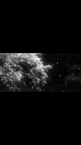 Banner for your TikTok profile ✨✨💫#baner #perfiles 
