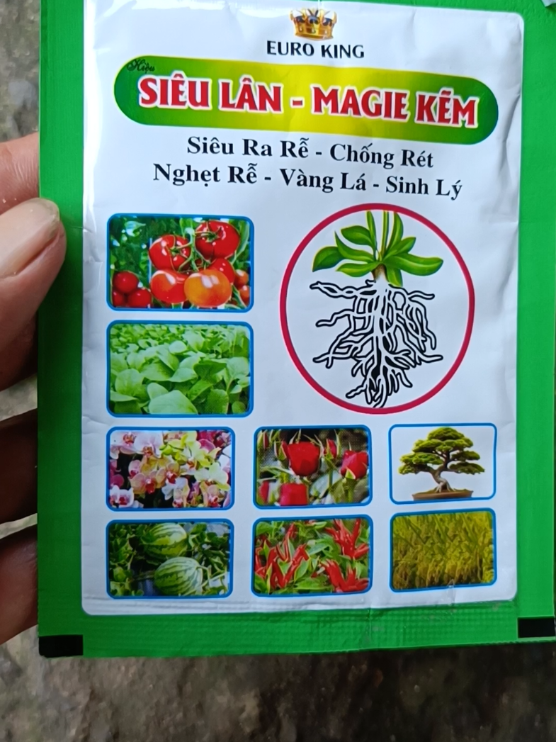siêu lân MAGiE KẼM cho bà con mình đây#sieulanmagiekem#sieurare #vuonnha #nongnghiep #xuhuongtiktok 