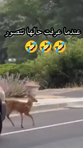 #في هذا اليوم #مرسين_تشارشي_اول_شارع_السوريين #اكسبلورexplo 