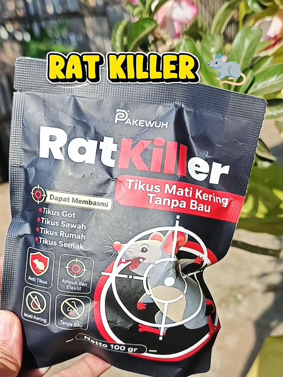 Solusi pengusir tikus tanpa bau 👌🏻✅✨  #ratkiller #basmitikus #pengusirtikus #racuntikustanpabau #tikuskabur 