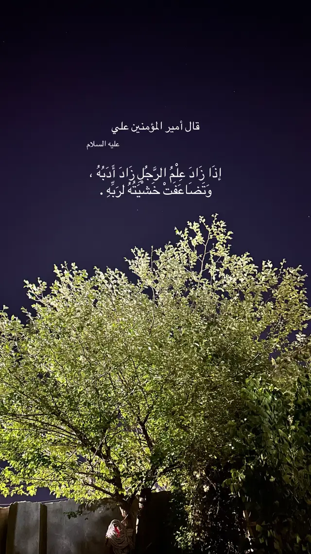 #اقوال_وحكم_الامام_علي_عليه_الاسلام  #fyp  #capcut  #سيد_سلام_الحسيني  #الشعب_الصيني_ماله_حل😂😂 
