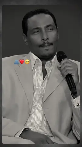 Halistui Apaaroo ❤️🥺 #creatorsearchinsights #fypシ #foryou #somalilyrics🌺😕💎 #viralvideo 