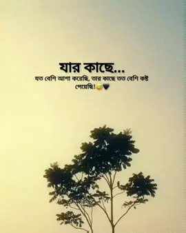যার কাছে যত বেশি আশা করেছি, তার কাছে তত বেশি কষ্ট পেয়েছি!😅🖤#tiktokviral #bisshashetomarseamare #tiktok?bangladesh 