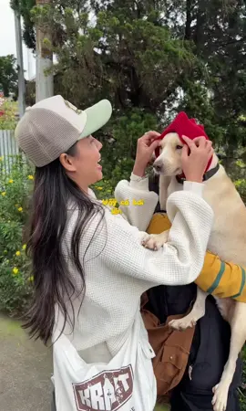 Chúng ta có thể đã mất vài thứ, nhưng lại được sống một cuộc đời đầy phiêu lưu, đầy kỷ niệm mà ba trái tim cùng nhau trên một hành trình. #tus #giadinhtus #fyp #dogsoftiktok #xh 