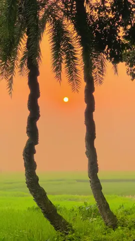 শীতকাল আসলেই কেনো জানি আগের সব সৃতি মনে পড়ে যায়🥰🌸#vairal #foryou #foryoupage #fyp #natural 