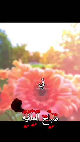 ✦ أصبحنا وأصبح الملك لله، والحمد لله، لا إله إلا الله وحده لا شريك له، له الملك وله الحمد، وهو على كل شيء قدير. ✦ رب أسألك خير ما في هذا اليوم وخير ما بعده، وأعوذ بك من شر ما في هذا اليوم وشر ما بعده.  *اللهم في هذا الصباح، ارزقنا سعادةً تُضيء قلوبنا، ورزقًا واسعًا مباركًا فيه، وطمأنينةً تسكن أرواحنا، واجعل يومنا هذا شاهدًا لنا بالخير والبركة يا كريم.* 🤲🤲🤲  *بسم الله توكلت على الله* يارب احتسب يومي هذا لوجهك الكريم  فتقبله مني ويسرلي امري وارزقني وبارك لي فيه🤲🤲 استودع الله الذي لا تضيع ودائعه ديني  ونفسي وأمانتي وخواتيم عملي وأهلي وأحبتي  وبيتي ومالي وجميع ما أنعم الله به عليّ صباح الخير🤎🍂🍁