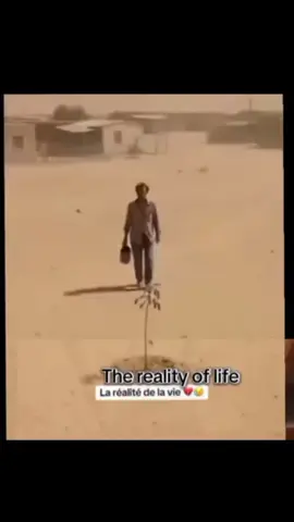 The reality of life #likе #watch #story 