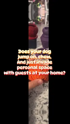 #halloween #trickortreat #freezbone @Freezbone #dogsoftiktok #dogmomlife your pup needs this for Halloween 🎃 👻 