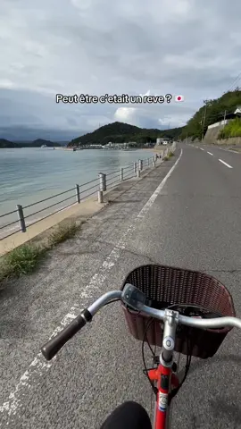 #japon #pvt 