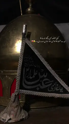 JaaNam MoLa Abbas ؀🫠🫀 #foryou #foryoupage #viralvideo #shiastatus #molaabbas 