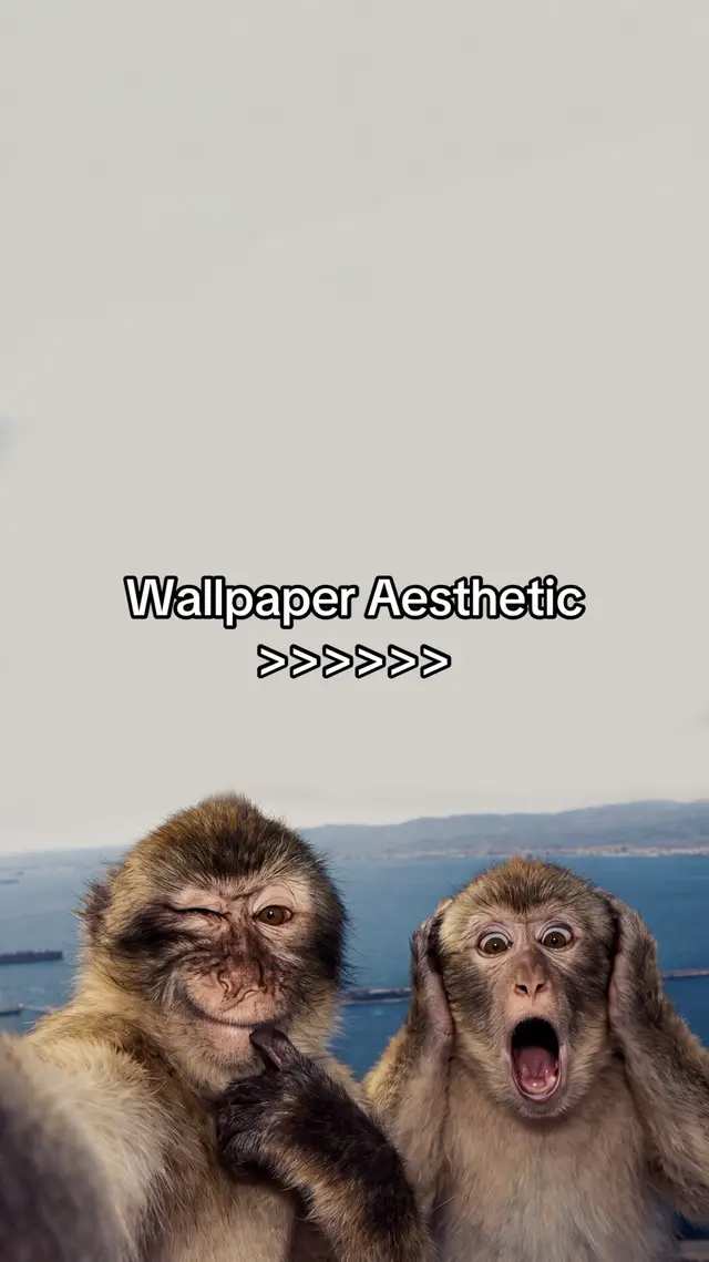 Aesthetic 🪽 #wallpaper #fyp #foryou #foryoupage #aesthetic 