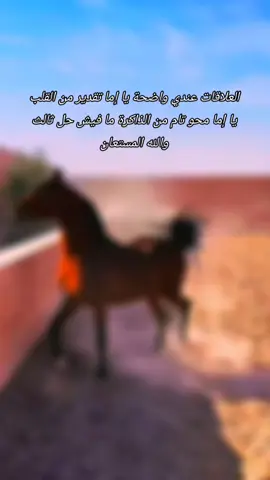 #الحصان الاصيل ال شنيف  #نصائح_مفيدة #ترندات_تيك_توك_جديدة #مصر_العراق_السعودية_تونس_المغرب_الجزائر #الشعب_الصيني_ماله_حل😂✌️ 