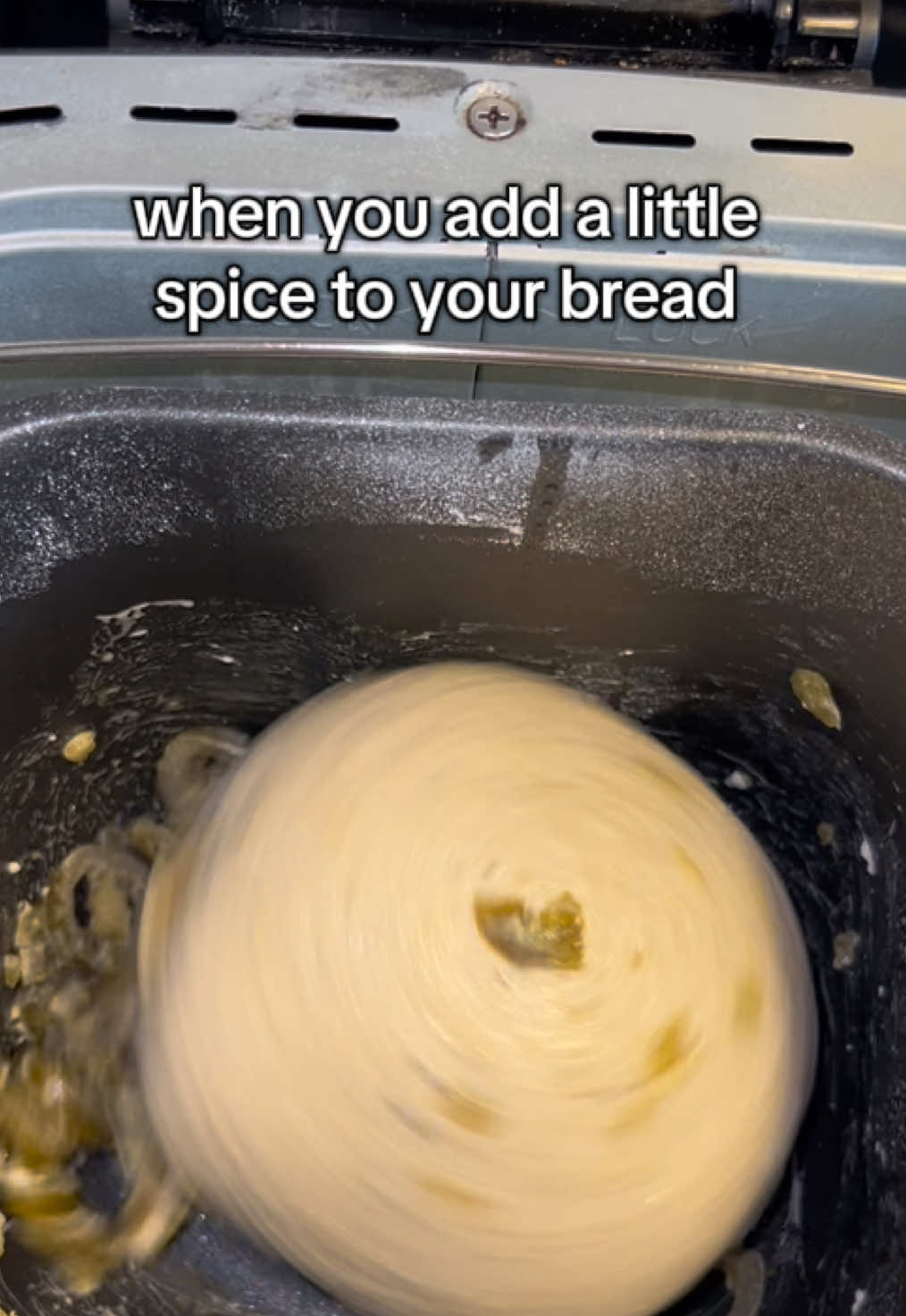 She’s got moves!!😅 One of my favorites to make in the bread maker!! So easy and so flavorful!! 🍞🤤#jalapeñobread #breadmachine #breadmaker #everythingbagelseasoning @Kitchen in the Box US 