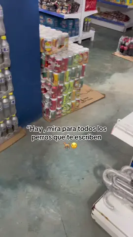 #perros #comida para perros#comparti #perros #dogui 