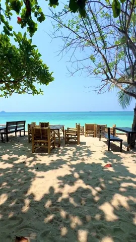 🌴Koh Phangan🌴#travel #thailand #kohphangan #view #paradise 📍Zen Beach 🇹🇭  Amazing view and good vibes at the Zen Beach Bungalow Restaurant ,Love it 🌴