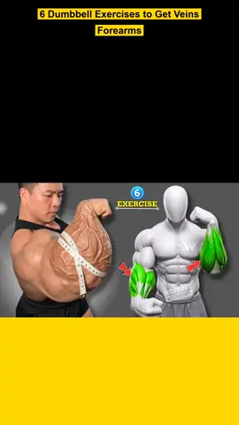 Want Veiny Forearms? Do These 6 Dumbbell Exercises 💪 #ForearmWorkout #DumbbellWorkout #VeinyForearms #ForearmExercises #GripStrength 