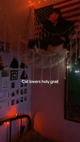 #fyp #roomdecor #cats #hammok 