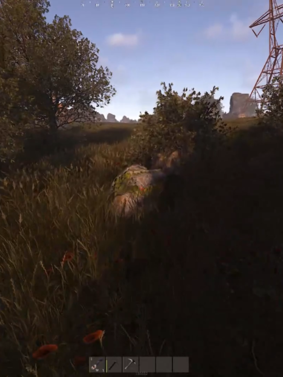 Вот так и доверяй им потом)  это раст детка #rust #rusttok #rustgame