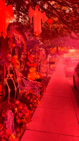 #halloween 