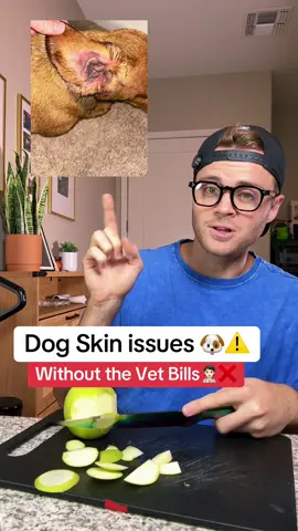 Dog itching?! #dogparents 
